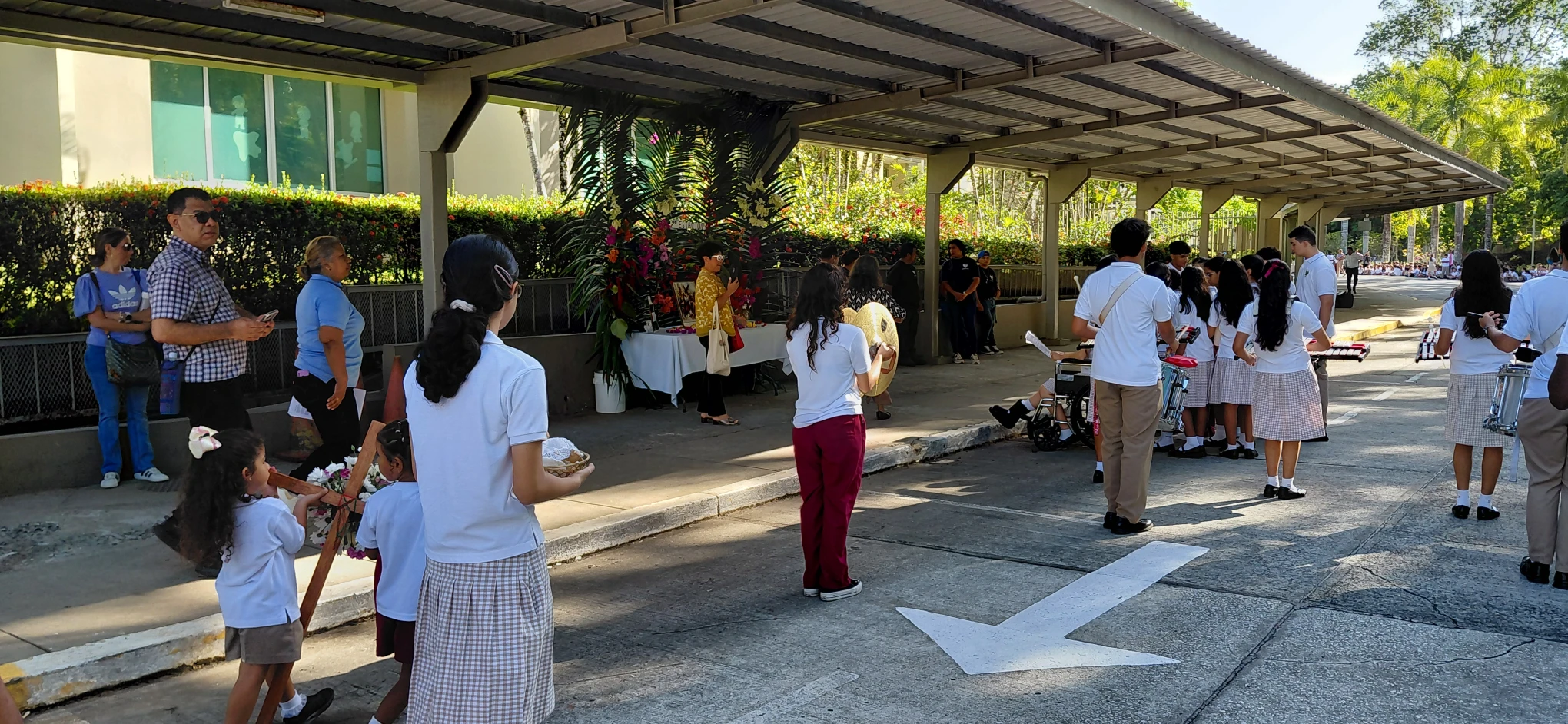 via crucis 5